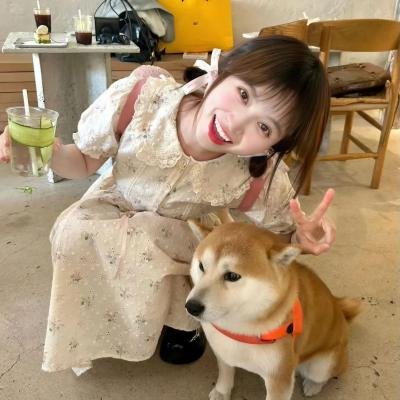 角落小伙伴2